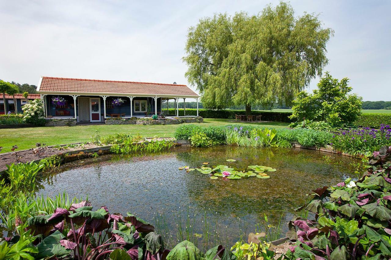 Inge'S Cottage Bergen op Zoom Kültér fotó